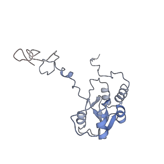 26133_7tut_Q_v1-2
Structure of the rabbit 80S ribosome stalled on a 4-TMD Rhodopsin intermediate in complex with the multipass translocon