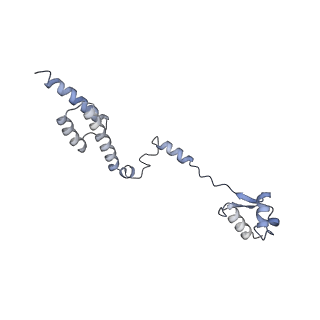 26133_7tut_R_v1-2
Structure of the rabbit 80S ribosome stalled on a 4-TMD Rhodopsin intermediate in complex with the multipass translocon