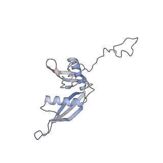 26133_7tut_S_v1-2
Structure of the rabbit 80S ribosome stalled on a 4-TMD Rhodopsin intermediate in complex with the multipass translocon