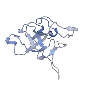 26133_7tut_V_v1-2
Structure of the rabbit 80S ribosome stalled on a 4-TMD Rhodopsin intermediate in complex with the multipass translocon