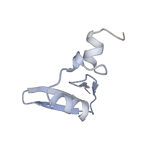 26133_7tut_W_v1-2
Structure of the rabbit 80S ribosome stalled on a 4-TMD Rhodopsin intermediate in complex with the multipass translocon