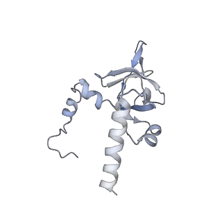 26133_7tut_Y_v1-2
Structure of the rabbit 80S ribosome stalled on a 4-TMD Rhodopsin intermediate in complex with the multipass translocon
