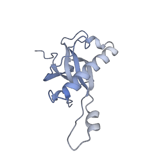 26133_7tut_Z_v1-2
Structure of the rabbit 80S ribosome stalled on a 4-TMD Rhodopsin intermediate in complex with the multipass translocon
