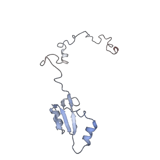26133_7tut_a_v1-2
Structure of the rabbit 80S ribosome stalled on a 4-TMD Rhodopsin intermediate in complex with the multipass translocon