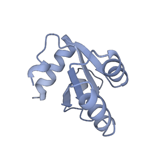 26133_7tut_c_v1-2
Structure of the rabbit 80S ribosome stalled on a 4-TMD Rhodopsin intermediate in complex with the multipass translocon