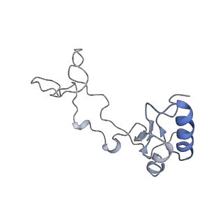 26133_7tut_e_v1-2
Structure of the rabbit 80S ribosome stalled on a 4-TMD Rhodopsin intermediate in complex with the multipass translocon