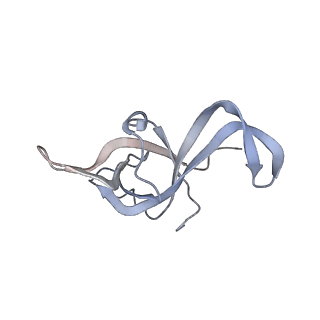 26133_7tut_f_v1-2
Structure of the rabbit 80S ribosome stalled on a 4-TMD Rhodopsin intermediate in complex with the multipass translocon