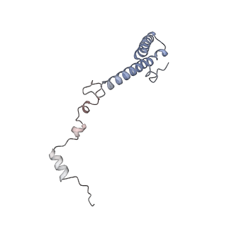 26133_7tut_h_v1-2
Structure of the rabbit 80S ribosome stalled on a 4-TMD Rhodopsin intermediate in complex with the multipass translocon