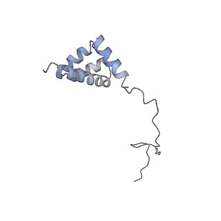 26133_7tut_i_v1-2
Structure of the rabbit 80S ribosome stalled on a 4-TMD Rhodopsin intermediate in complex with the multipass translocon