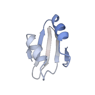 26133_7tut_k_v1-2
Structure of the rabbit 80S ribosome stalled on a 4-TMD Rhodopsin intermediate in complex with the multipass translocon