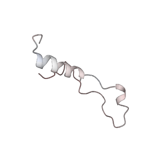 26133_7tut_l_v1-2
Structure of the rabbit 80S ribosome stalled on a 4-TMD Rhodopsin intermediate in complex with the multipass translocon