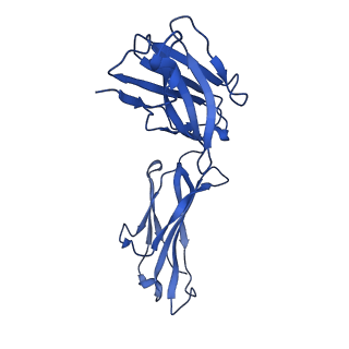 26135_7tuy_H_v1-2
Cryo-EM structure of GSK682753A-bound EBI2/GPR183