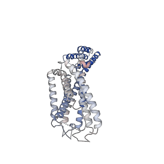 26135_7tuy_R_v1-2
Cryo-EM structure of GSK682753A-bound EBI2/GPR183