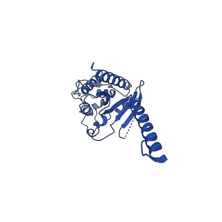26136_7tuz_A_v1-2
Cryo-EM structure of 7alpha,25-dihydroxycholesterol-bound EBI2/GPR183 in complex with Gi protein
