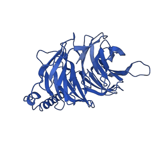 26136_7tuz_B_v1-2
Cryo-EM structure of 7alpha,25-dihydroxycholesterol-bound EBI2/GPR183 in complex with Gi protein