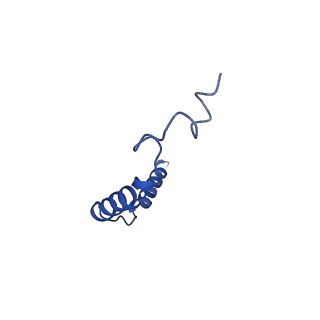 26136_7tuz_C_v1-2
Cryo-EM structure of 7alpha,25-dihydroxycholesterol-bound EBI2/GPR183 in complex with Gi protein