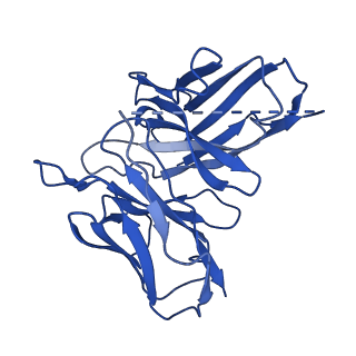26136_7tuz_E_v1-2
Cryo-EM structure of 7alpha,25-dihydroxycholesterol-bound EBI2/GPR183 in complex with Gi protein