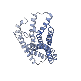 26136_7tuz_R_v1-2
Cryo-EM structure of 7alpha,25-dihydroxycholesterol-bound EBI2/GPR183 in complex with Gi protein