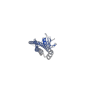 41617_8tu6_B_v1-0
CryoEM structure of PI3Kalpha