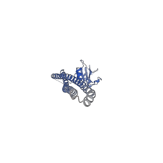 41617_8tu6_B_v1-1
CryoEM structure of PI3Kalpha