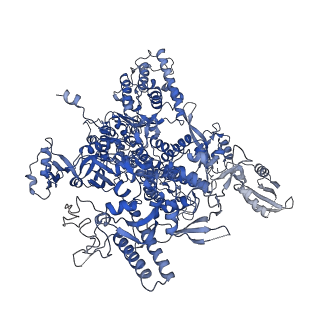 41623_8tug_A_v1-0
Cryo-EM structure of CPD-stalled Pol II in complex with Rad26 (engaged state)