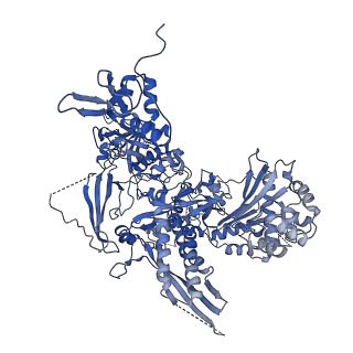 41623_8tug_B_v1-0
Cryo-EM structure of CPD-stalled Pol II in complex with Rad26 (engaged state)