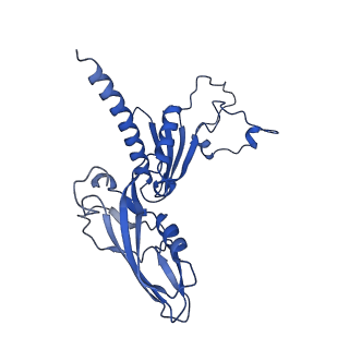 41623_8tug_C_v1-0
Cryo-EM structure of CPD-stalled Pol II in complex with Rad26 (engaged state)