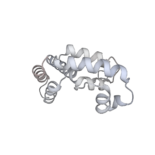 41623_8tug_D_v1-0
Cryo-EM structure of CPD-stalled Pol II in complex with Rad26 (engaged state)