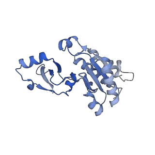 41623_8tug_E_v1-0
Cryo-EM structure of CPD-stalled Pol II in complex with Rad26 (engaged state)
