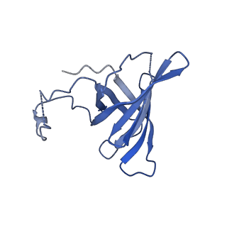 41623_8tug_H_v1-0
Cryo-EM structure of CPD-stalled Pol II in complex with Rad26 (engaged state)
