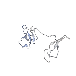 41623_8tug_I_v1-0
Cryo-EM structure of CPD-stalled Pol II in complex with Rad26 (engaged state)