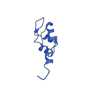 41623_8tug_J_v1-0
Cryo-EM structure of CPD-stalled Pol II in complex with Rad26 (engaged state)