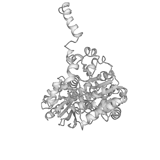41623_8tug_M_v1-0
Cryo-EM structure of CPD-stalled Pol II in complex with Rad26 (engaged state)