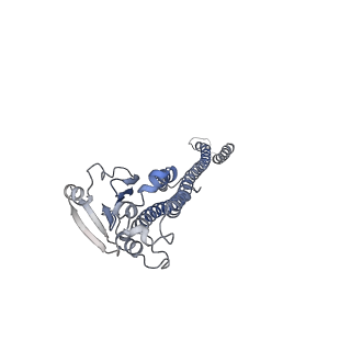 41624_8tul_A_v1-1
Cryo-EM structure of the human MRS2 magnesium channel under Mg2+ condition