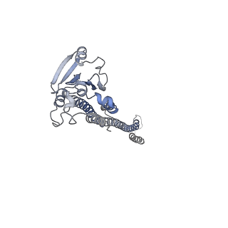 41624_8tul_B_v1-1
Cryo-EM structure of the human MRS2 magnesium channel under Mg2+ condition