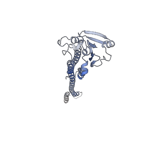 41624_8tul_C_v1-1
Cryo-EM structure of the human MRS2 magnesium channel under Mg2+ condition