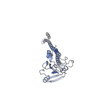 41624_8tul_E_v1-1
Cryo-EM structure of the human MRS2 magnesium channel under Mg2+ condition