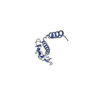 41625_8tum_b_v1-0
Type IV pilus from Pseudomonas PAO1 strain