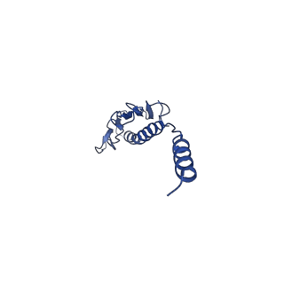 41625_8tum_c_v1-0
Type IV pilus from Pseudomonas PAO1 strain