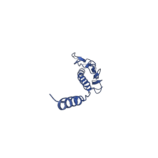 41625_8tum_d_v1-0
Type IV pilus from Pseudomonas PAO1 strain