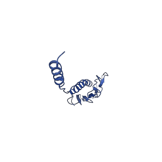 41625_8tum_e_v1-0
Type IV pilus from Pseudomonas PAO1 strain