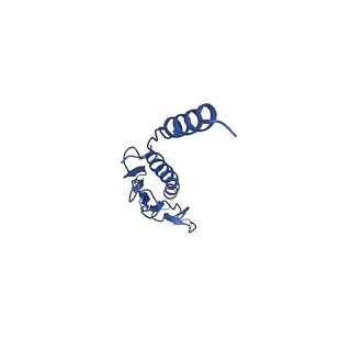 41625_8tum_f_v1-0
Type IV pilus from Pseudomonas PAO1 strain