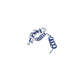 41625_8tum_g_v1-0
Type IV pilus from Pseudomonas PAO1 strain