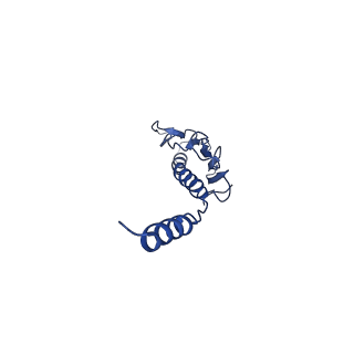 41625_8tum_h_v1-0
Type IV pilus from Pseudomonas PAO1 strain