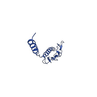 41625_8tum_i_v1-0
Type IV pilus from Pseudomonas PAO1 strain