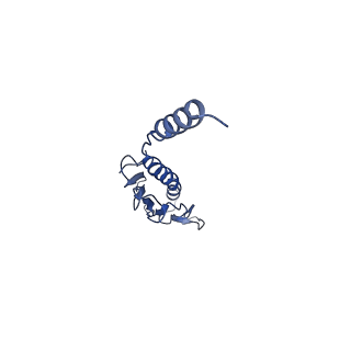 41625_8tum_j_v1-0
Type IV pilus from Pseudomonas PAO1 strain