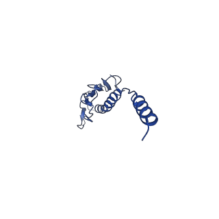 41625_8tum_k_v1-0
Type IV pilus from Pseudomonas PAO1 strain