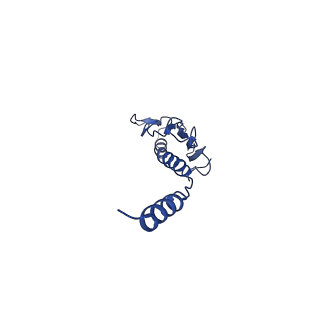 41625_8tum_l_v1-0
Type IV pilus from Pseudomonas PAO1 strain