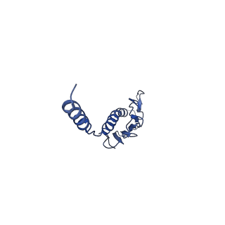 41625_8tum_m_v1-0
Type IV pilus from Pseudomonas PAO1 strain