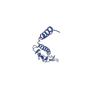 41625_8tum_n_v1-0
Type IV pilus from Pseudomonas PAO1 strain